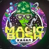 MAGIC BUSH КАНАЛ НЕ