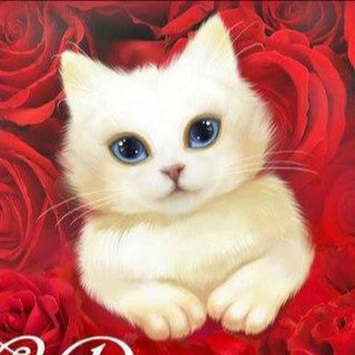 ОТКРЫТКИ И ПОЗДРАВЛЕНИЯ С ДНЕМ РОЖДЕНИЯ