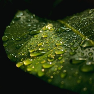 СВЕЖИЕ СТИХИ 