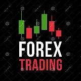 FOREX TRADING INVESTMENT EXPERT