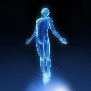 ОСНОВЫ ЖИЗНИ