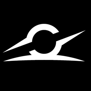 СВИДЕТЕЛИ СИНГУЛЯРНОСТИ