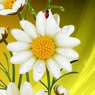 ЛЮБОВЬ. ЦВЕТЫ.ОТКРЫТКИ