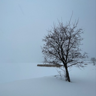 МОДЕСТ КОЛЕРОВ