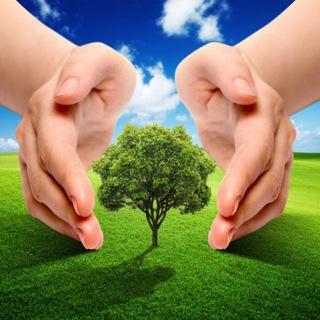 ЭКОЛЮДИ И ЭЛЛАНИШ