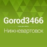 GOROD3466