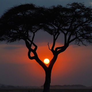 ИСТОЧНИК МУДРОСТИ