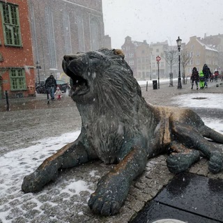 БЕЛОРУСЫ В ПОЛЬШЕ 2.0 (ЧАТ)