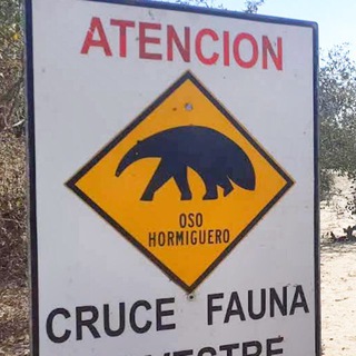 КСЮША С РОМОМ