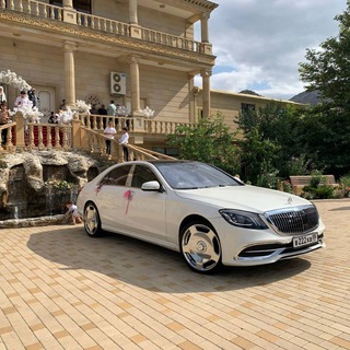 ГОС НОМЕРА ЧАТ