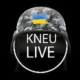 КНЕУ LIVE 