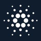 CARDANO COMMUNITY TECH SUPPORT LOBBY