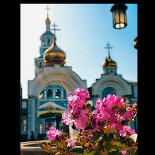 ЦЫГАНСКИЕ ПЕСНИ
