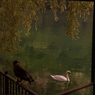 الافكار …,МЫСЛИ, МОМЕНТЫ