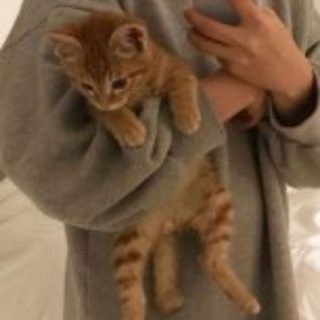 ТАЙНЫ ШИФТИНГА