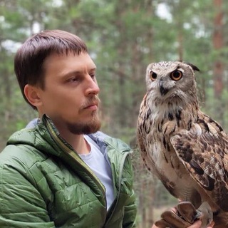 ТОЛКОВАНИЕ СНОВ С АЛЕКСАНДРОМ КРАСНОВЫМ