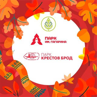 ПАРК ИМ. ГАГАРИНА ГОРОДСКОГО ОКРУГА ШАТУРА