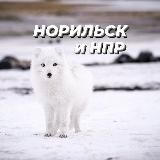 НОРИЛЬСК • ТАЛНАХ • НПР