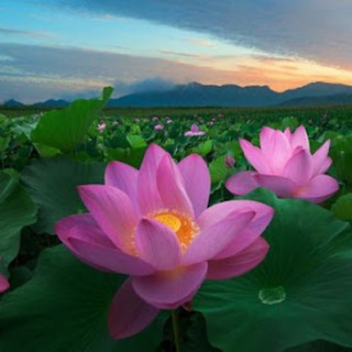 КРАСОТЫ МИРА|ТУРИЗМ|ПУТЕШЕСТВИЯ