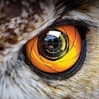 РАЗВЕДПОЛЁТ