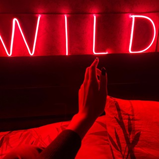 WILD’S | ТАКАЯ ВАЖНАЯ И ПРОСТАЯ ПСИХОЛОГИЯ