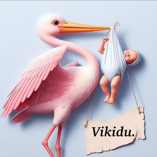 VIKIDU