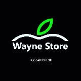 WAYNE STORE