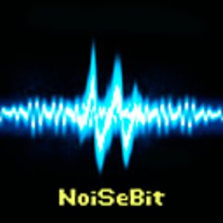 NOISE SECURITY BIT