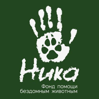 ДОБРОВОЛЬЧЕСКОЕ ДВИЖЕНИЕ «НИКА»