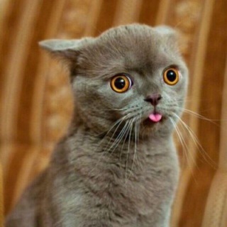 ЛЕКЦІЇ В КОЛЕКЦІЮ