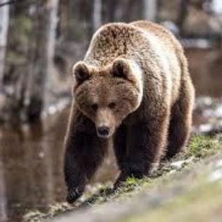 ПО РУССКИ 18+