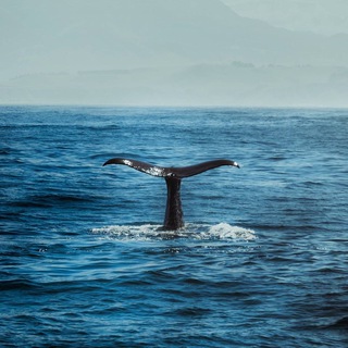 ГЛУБИНА ВНУТРИ ТЕБЯ