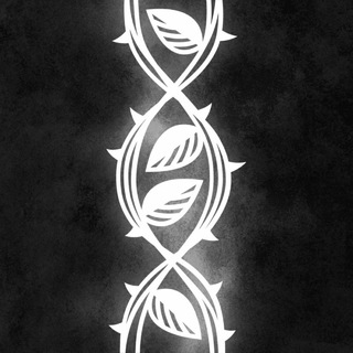 ЛИГА КЛУБОВ