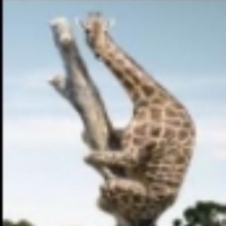 ПРАВАК НА ЛИНИИ