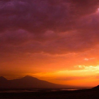 АРМЯНСКАЯ ВЕНДЕТТА