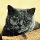 КОШАЧЬИ ИСТОРИИ