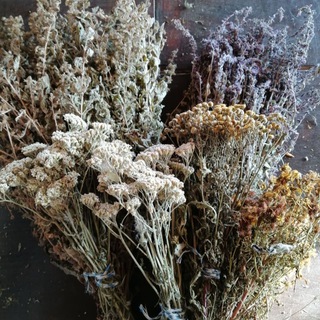 ТРАВЫСПЕЦИИ, НАТУРОПАТИЯ