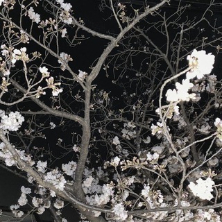 АРХИВ ПУСТОТЫ.