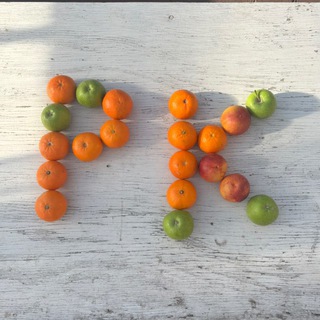 РЕГИОНАЛЬНАЯ КУРАТОРКА