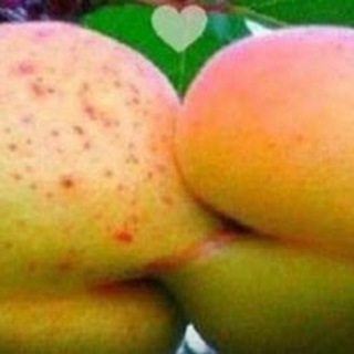 ЖС. ОБРАЗОВАНИЕ