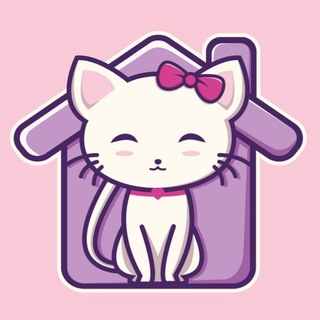 КИТТИКЕА - ПРИЮТ ДЛЯ КОТИКОВ | НОВОСИБИРСК