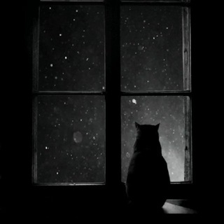 С̢̘͜П̡͉̟И̢̘̙.