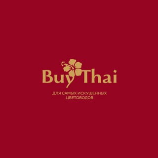 BUYTHAI SALE