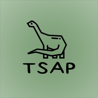 КРОССОВКИ “TSAP”