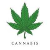 CANNABIS JOB