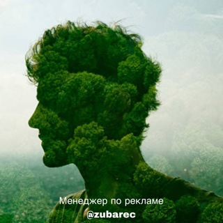 ЭКОФРЕНДЛИ | ЭКОЛОГИЧНЫЙ СТИЛЬ ЖИЗНИ