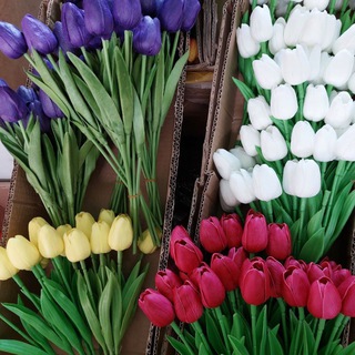 СЕЗОННЫЕ ТОВАРЫ