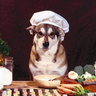 ЛЮБИМЫЕ РЕЦЕПТЫ!