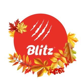 КОРМА ДЛЯ КОШЕК И СОБАК BLITZ