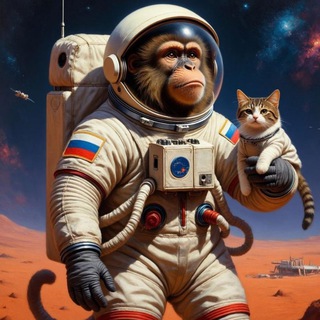 KOTOFREE - ПРОМОКОДЫ, СКИДКИ, АКЦИИ